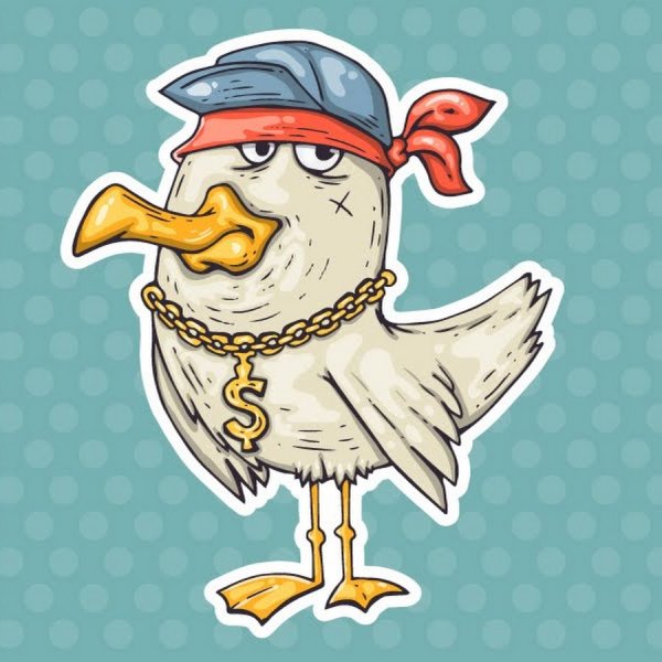 Чайки карикатура