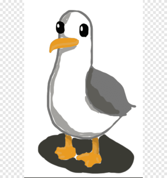 Смешные рисунки чаек