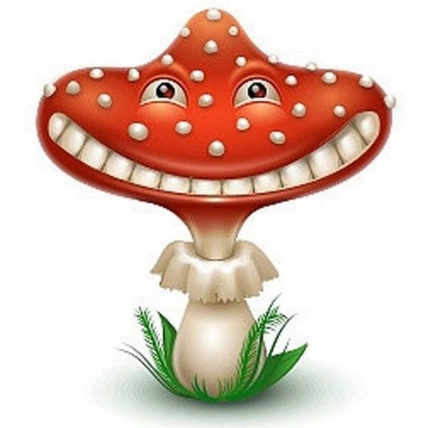 Поганка Мухоморовна