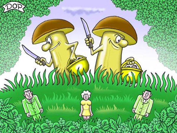 Грибы прикол