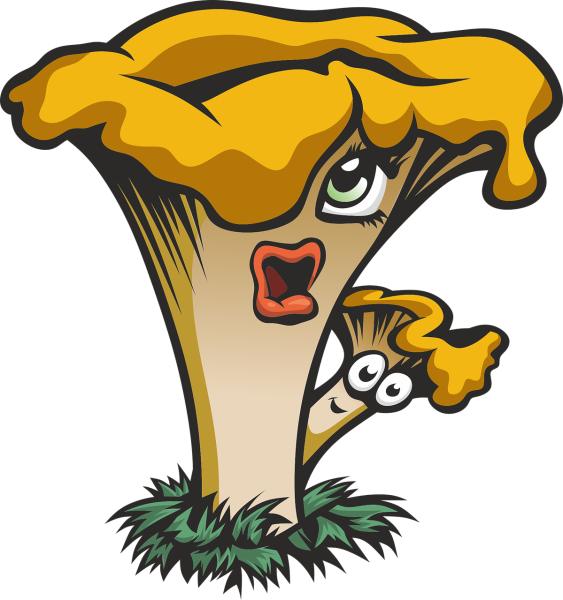 Гриб Лисичка рисунок