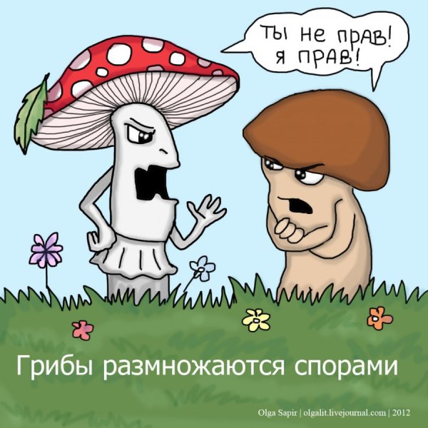 Мемы про грибы