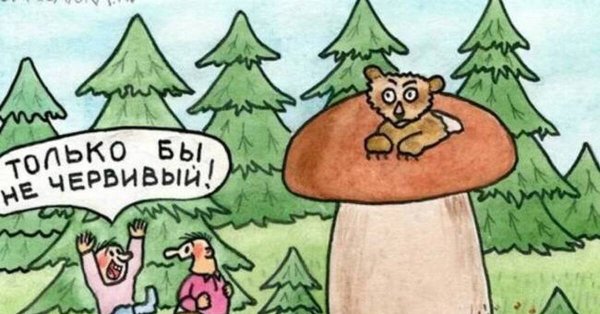Грибы карикатура
