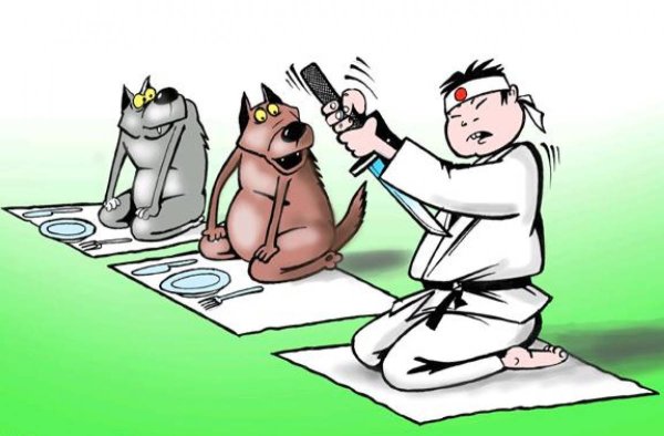 Японец карикатура