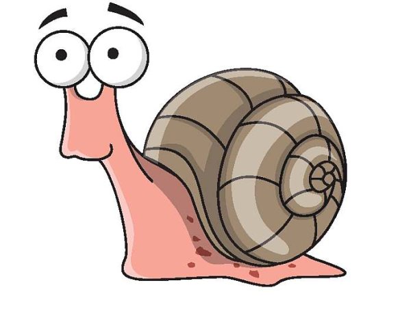 Смешная улитка