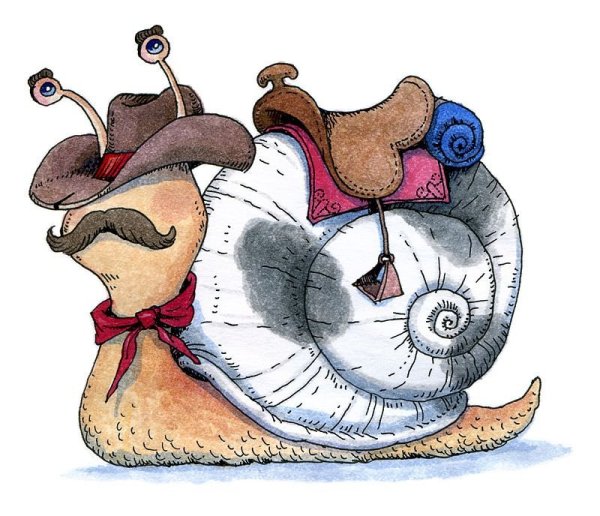 Улитка в шляпе