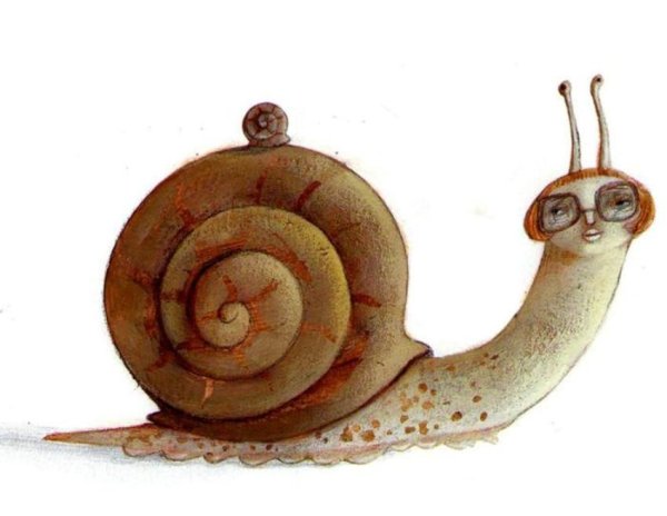 Веселый моллюск