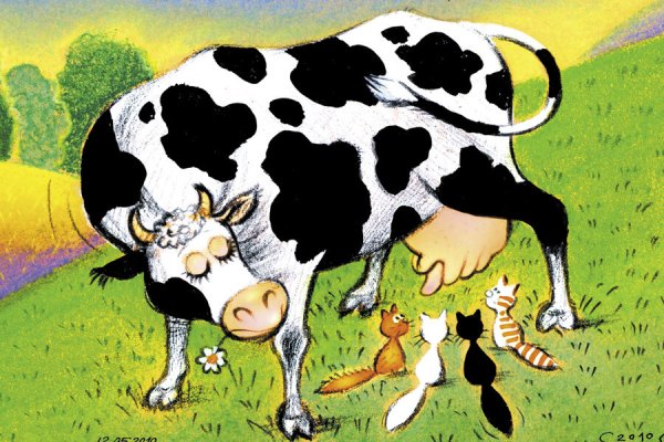 Корова шарж