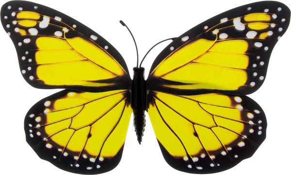 Бабочка желтого цвета