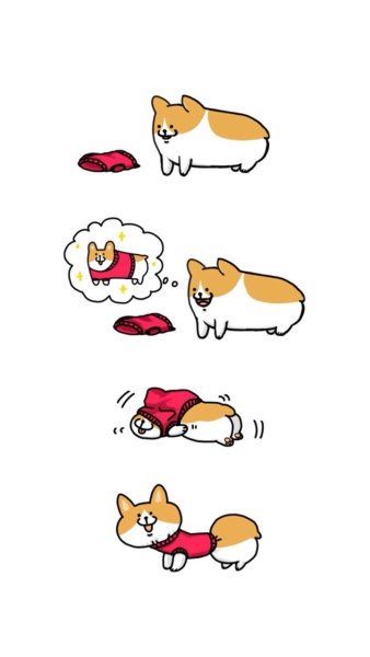 Забавные рисунки корги