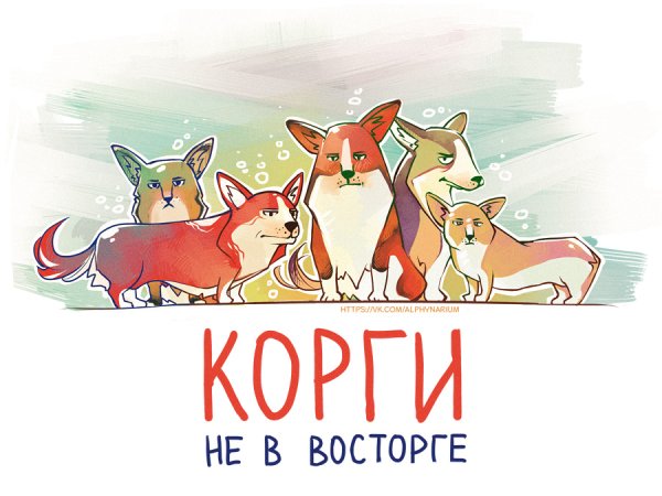Надпись корги