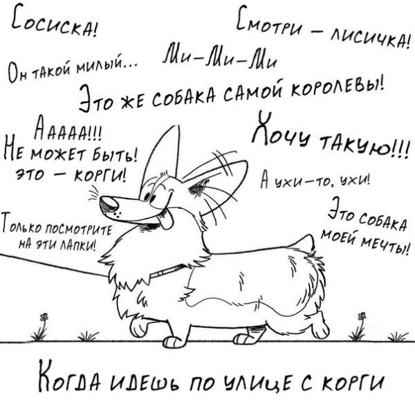 Стихи про корги