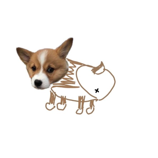 Корги с днем рождения картинки