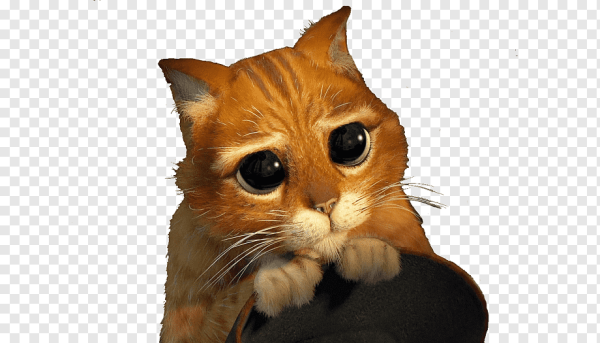 Кот в сапогах из Шрека с большими глазами