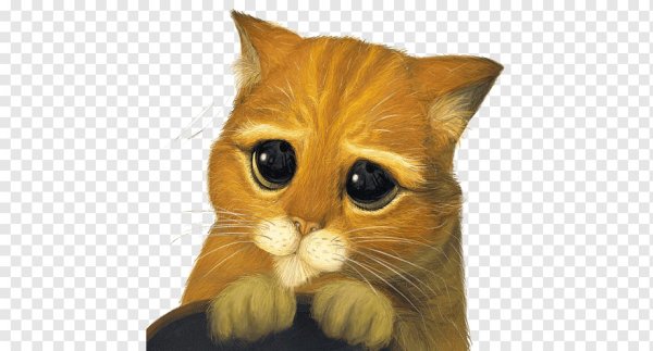 Кот из Шрека