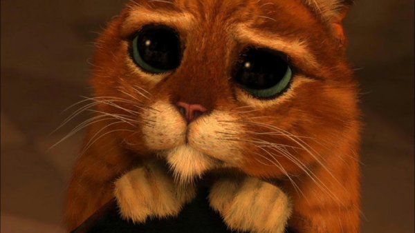 Кот в сапогах глаза