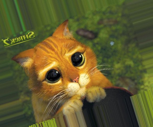 Кот из Шрека