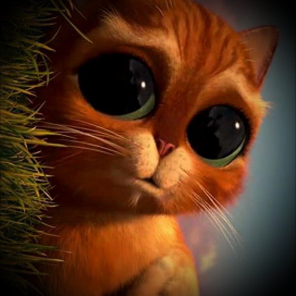 Шрек кот в сапогах милые глазки