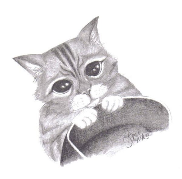 Кот из Шрека карандашом