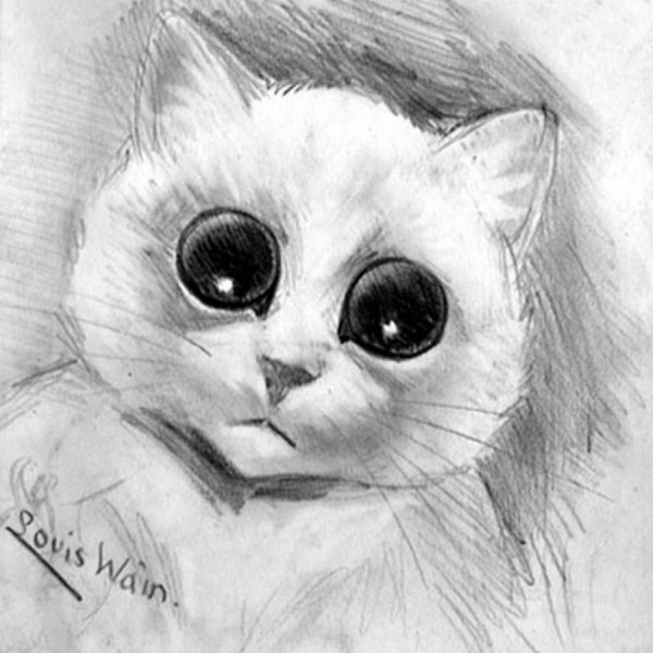 Милый котик карандашом