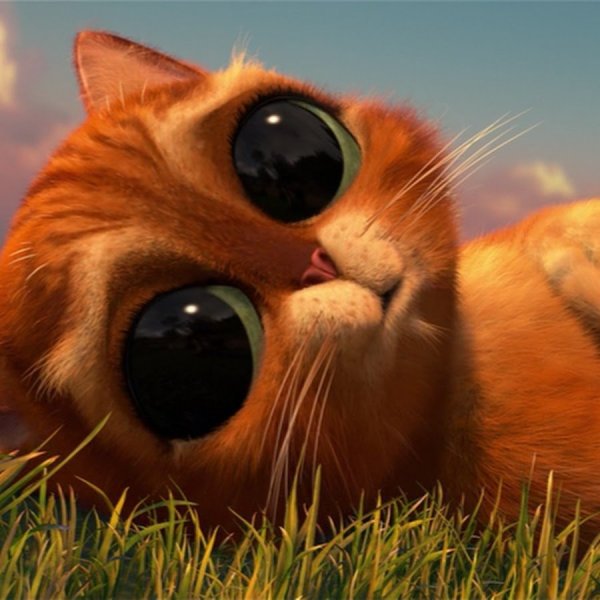 Телевизор Samsung ue50j6230au 50" (2016)