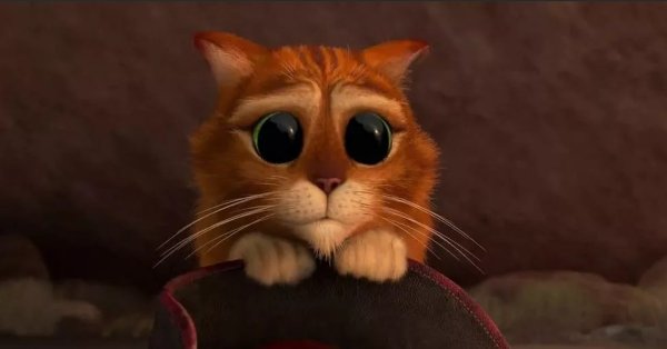 Кот в сапогах глаза