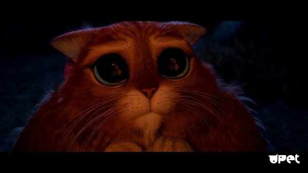 Кот в сапогах Шрек милые глаза