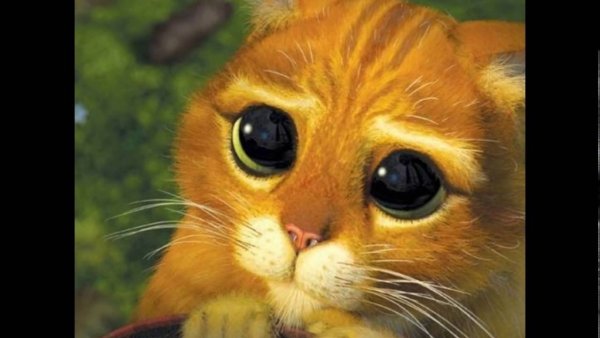 Кот в сапогах глаза