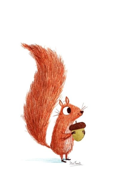 Смешные белки рисунки