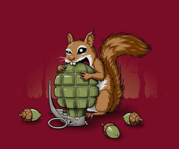 Боевая белка