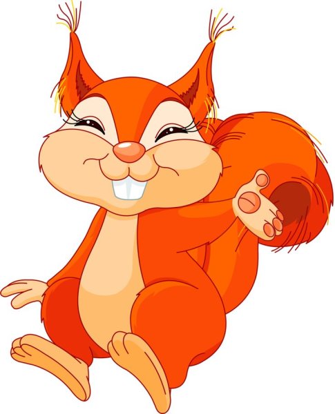 Белочка рисунок