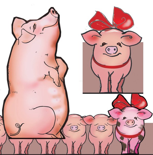 Поросенок рисунок