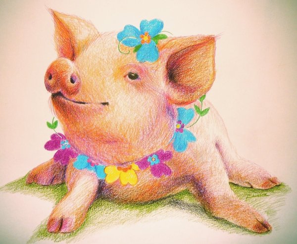 Поросенок иллюстрация