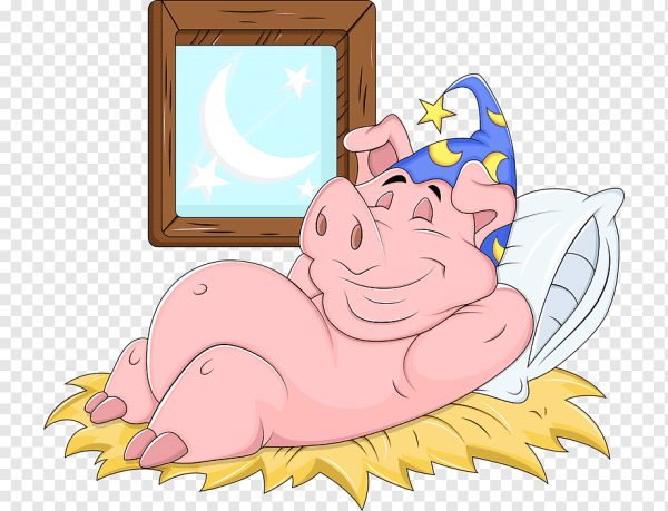 Мультяшные поросята прикольные