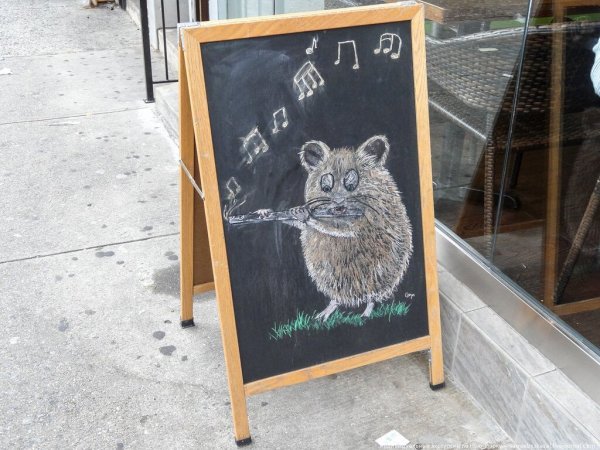 Креативный штендер