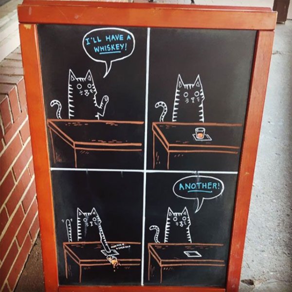 Коты на грифельной доске