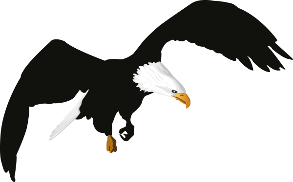 Орел раскраска для детей