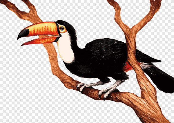 Сказка про орла