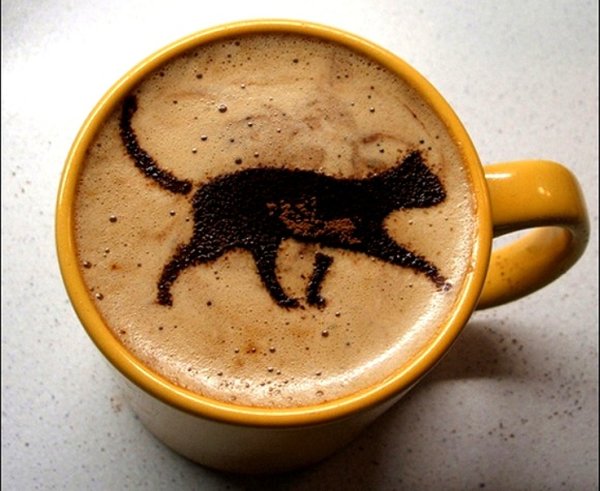 Кот и кофе