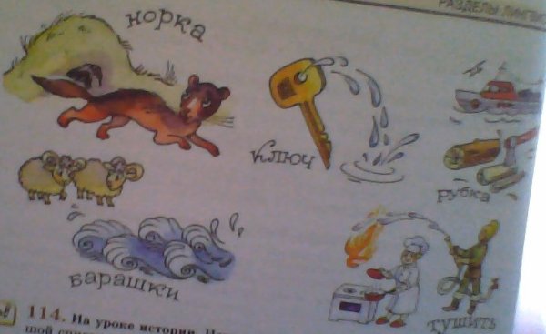 Юмористические рисунки многозначных слов