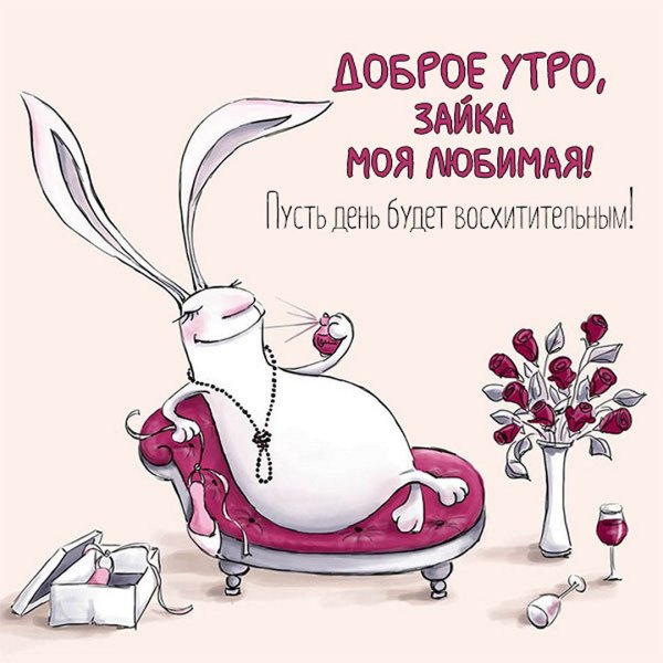 Забавные открытки