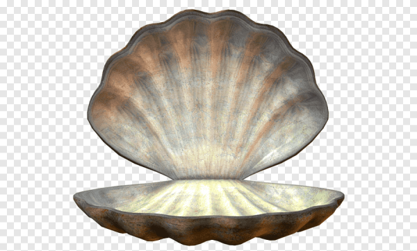 Раскрытая Ракушка