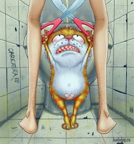 Кастрация котов приколы