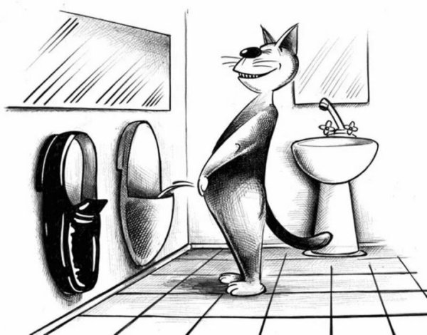 Карикатуры смешные