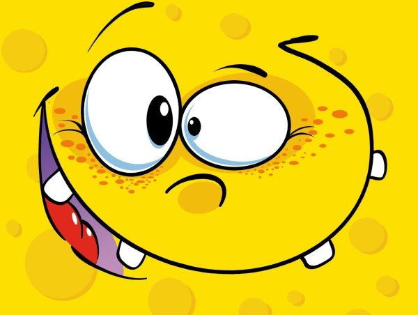 Смешные мордочки