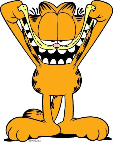 Герои мультика Гарфилд