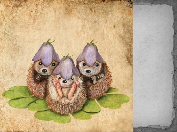 Милые ежики иллюстрации