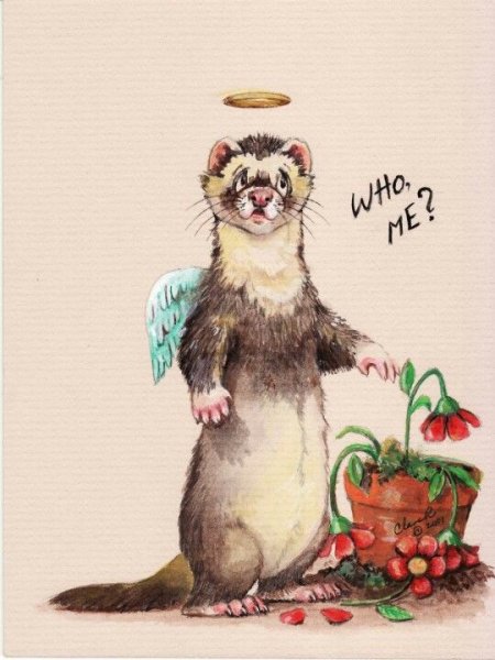 Открытка с хорьком