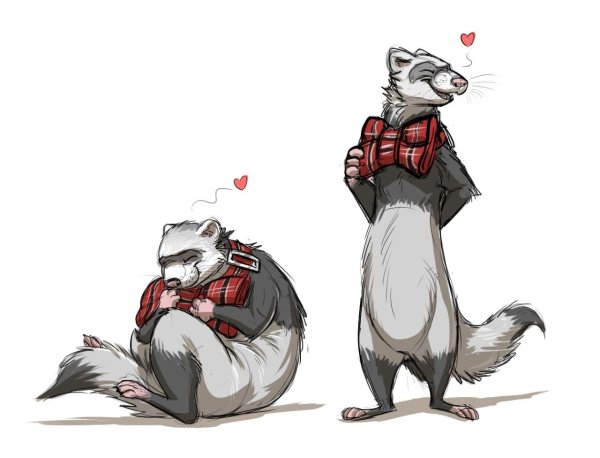 Мультяшные хорьки