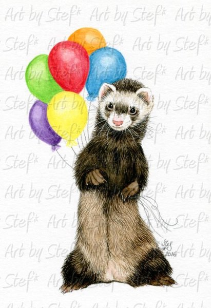 Рисунок хорька красками